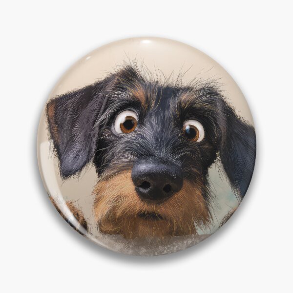 Item preview, Wire=haired Dachshund Peeking over Wall 01 designed and sold by Elisabeth Lucas.