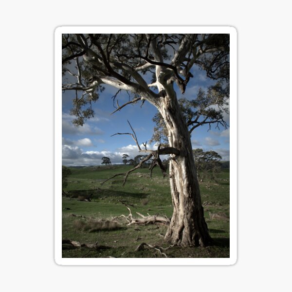 Item preview, Winter's Day On The Road To Harrogate. designed and sold by Ben Loveday.