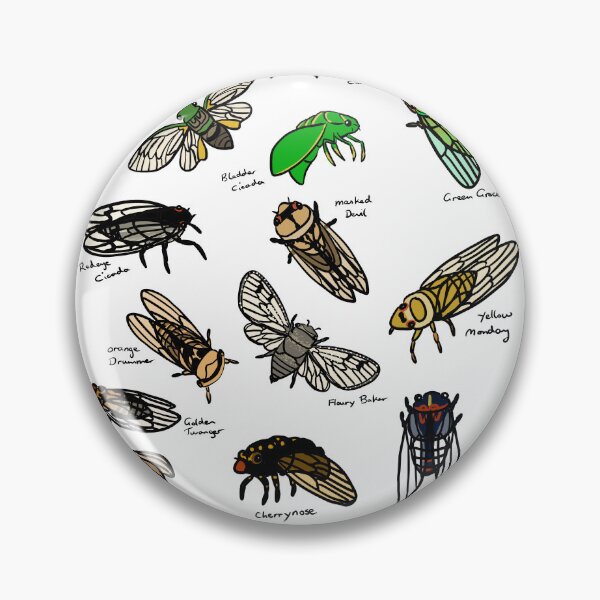 Item preview, Cicada species designed and sold by Brydenophyte.