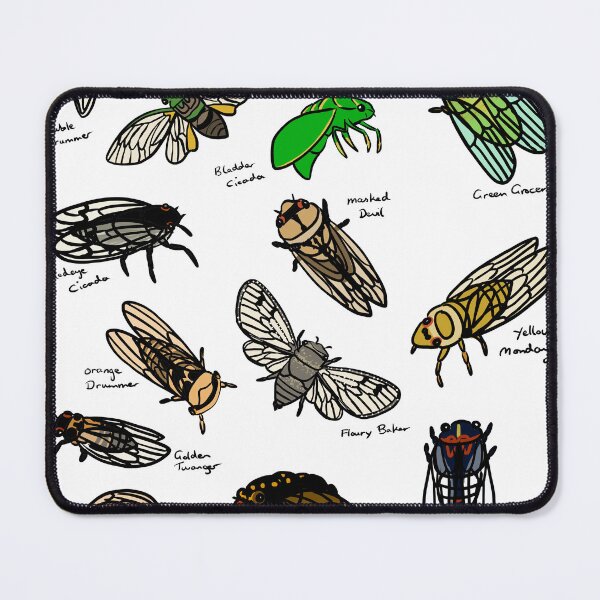 Item preview, Cicada species designed and sold by Brydenophyte.
