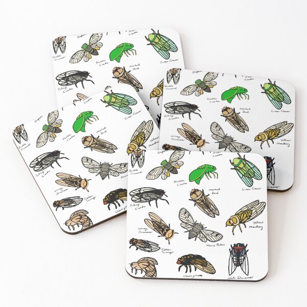 Item preview, Cicada species designed and sold by Brydenophyte.