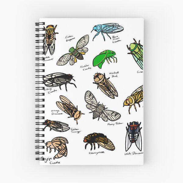 Item preview, Cicada species designed and sold by Brydenophyte.