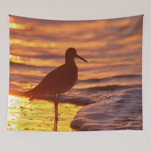 Item preview, South Carolina Sunrise Seagull  designed and sold by MBGSL DESIGNS .