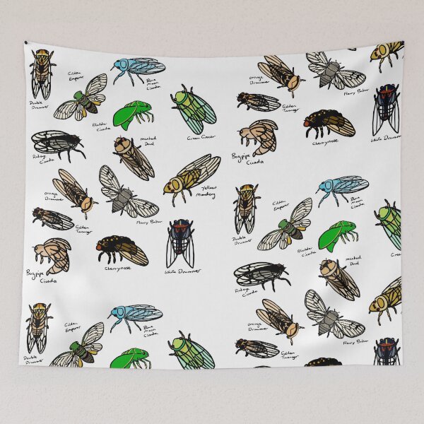 Item preview, Cicada species designed and sold by Brydenophyte.