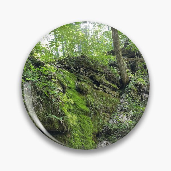 Item preview, Devil's Icebox State Park in Early Spring designed and sold by royalswin.