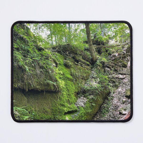 Item preview, Devil's Icebox State Park in Early Spring designed and sold by royalswin.