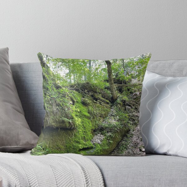 Item preview, Devil's Icebox State Park in Early Spring designed and sold by royalswin.
