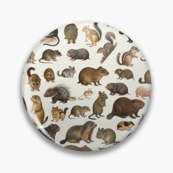 Item preview, Animals of the Order Rodentia Retro Rodent Chart designed and sold by kakarikihill.