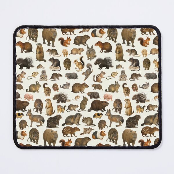 Item preview, Animals of the Order Rodentia Retro Rodent Chart designed and sold by kakarikihill.