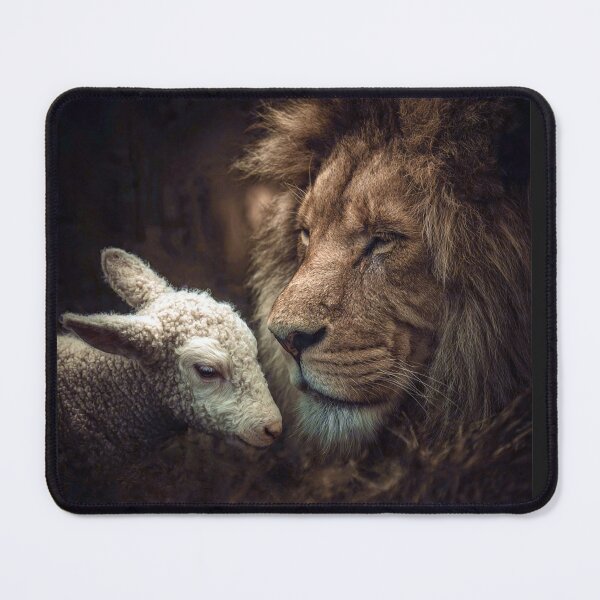 Item preview, Lion and Lamb designed and sold by Savannah Gibbs.