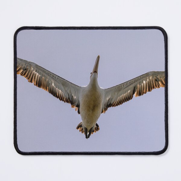 Item preview, Pelican Above designed and sold by Jan Fijolek.
