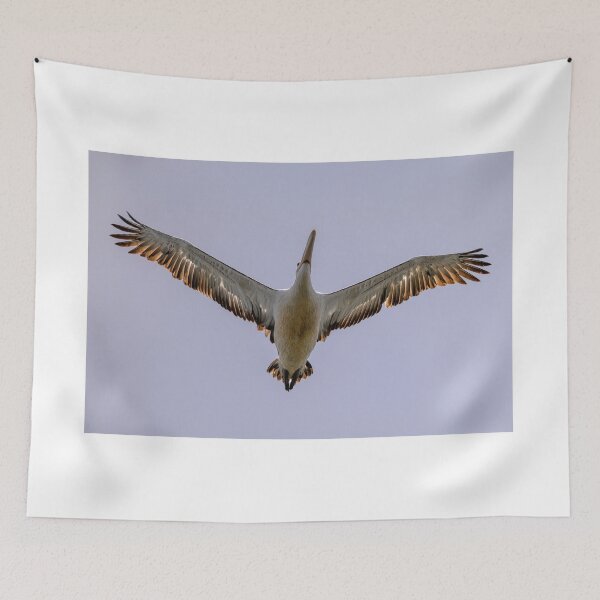 Item preview, Pelican Above designed and sold by Jan Fijolek.