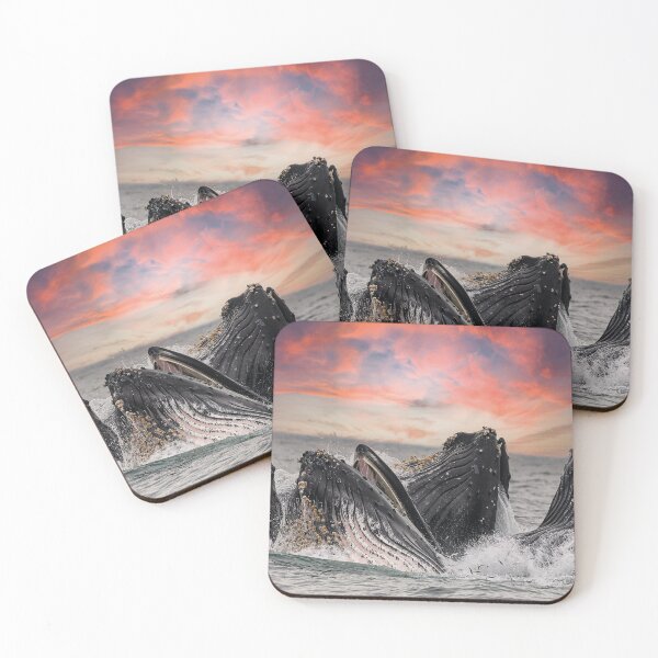 Item preview, Humpback whales eating designed and sold by Mauswohn.