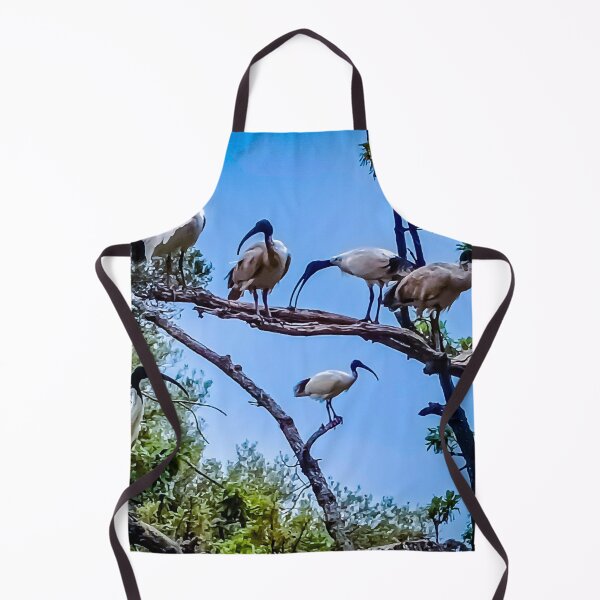 Item preview, The Australian White Ibis Hangout - Bendigo, Victoria, Australia designed and sold by Steven Jodoin.