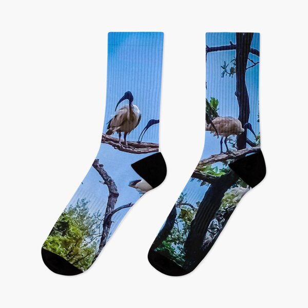 Item preview, The Australian White Ibis Hangout - Bendigo, Victoria, Australia designed and sold by Steven Jodoin.