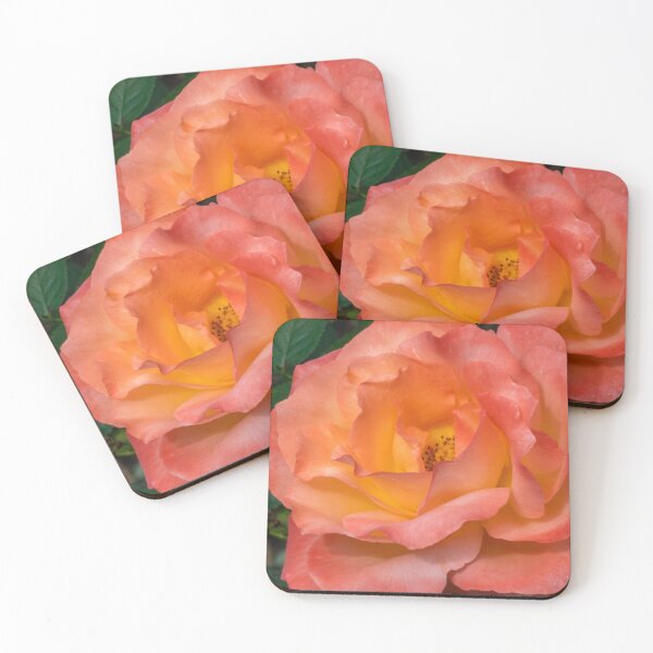 Item preview, Orange rose in full bloom designed and sold by yunee.