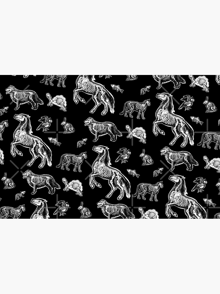 Veterinary Technician :: X-ray Animal Bones Anatomy by tinaschofield