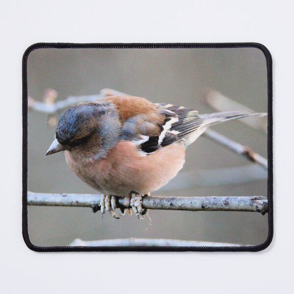 Item preview, chaffinch designed and sold by KathleenDawson.