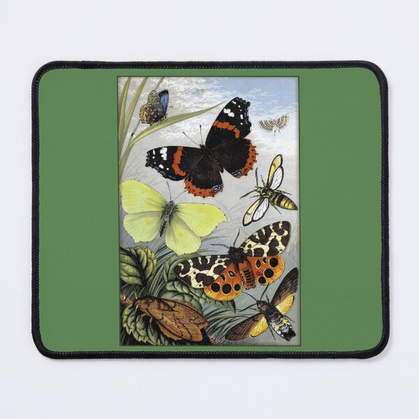Item preview, Entomological Print: Bee, Butterflies and Moths designed and sold by Tridentulus.