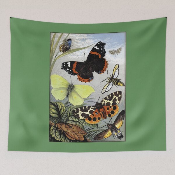 Item preview, Entomological Print: Bee, Butterflies and Moths designed and sold by Tridentulus.