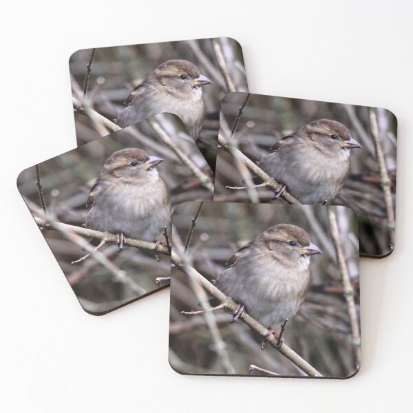 Item preview, chaffinch designed and sold by KathleenDawson.
