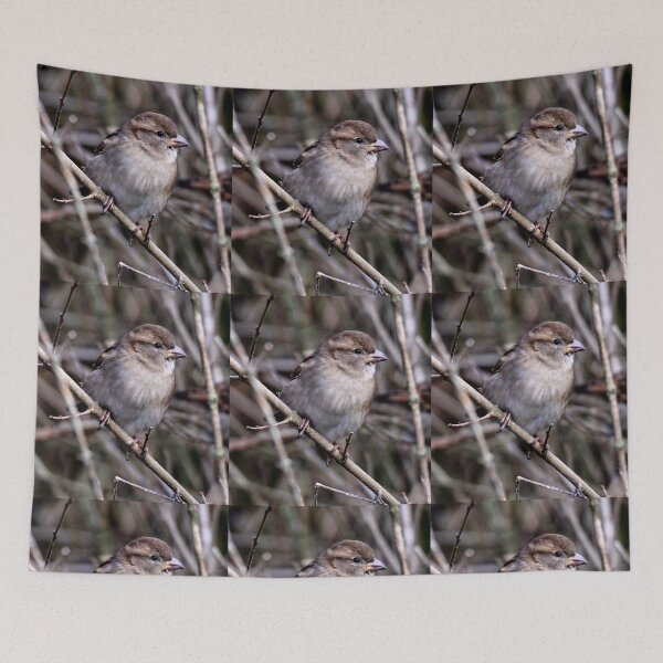 Item preview, chaffinch designed and sold by KathleenDawson.