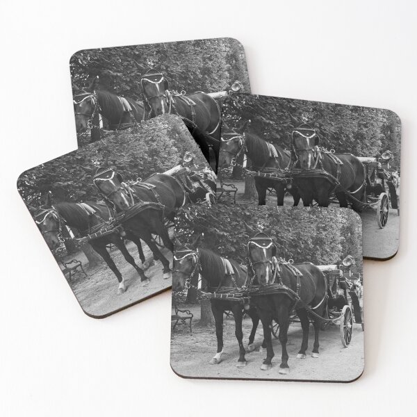 Item preview, Take a ride. Schonbrunn Palace Park bw designed and sold by Jouko Lehto Photography.