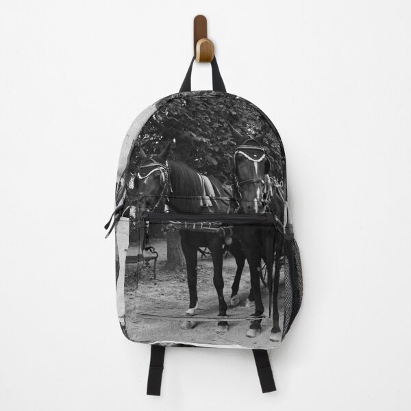 Item preview, Take a ride. Schonbrunn Palace Park bw designed and sold by Jouko Lehto Photography.