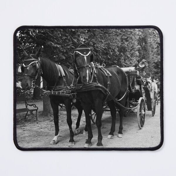 Item preview, Take a ride. Schonbrunn Palace Park bw designed and sold by Jouko Lehto Photography.