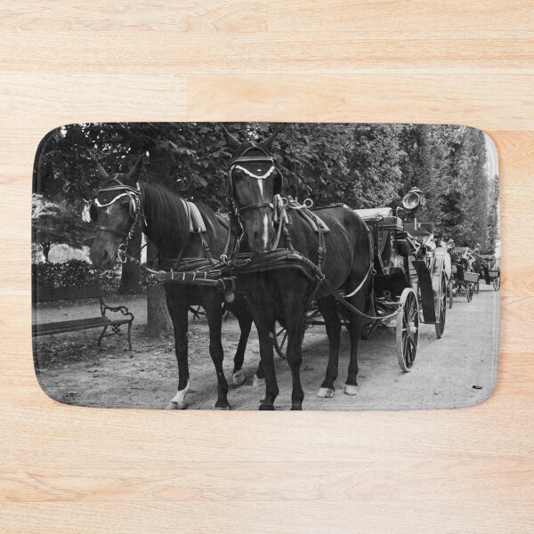 Item preview, Take a ride. Schonbrunn Palace Park bw designed and sold by Jouko Lehto Photography.