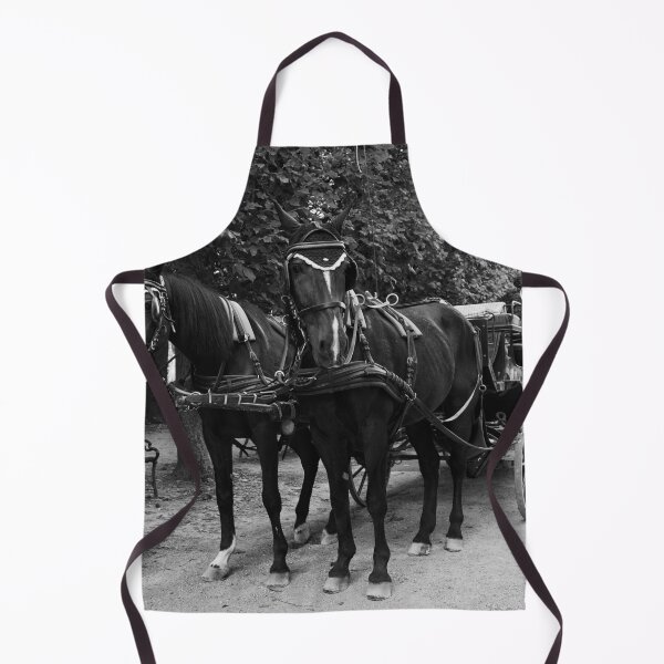 Item preview, Take a ride. Schonbrunn Palace Park bw designed and sold by Jouko Lehto Photography.