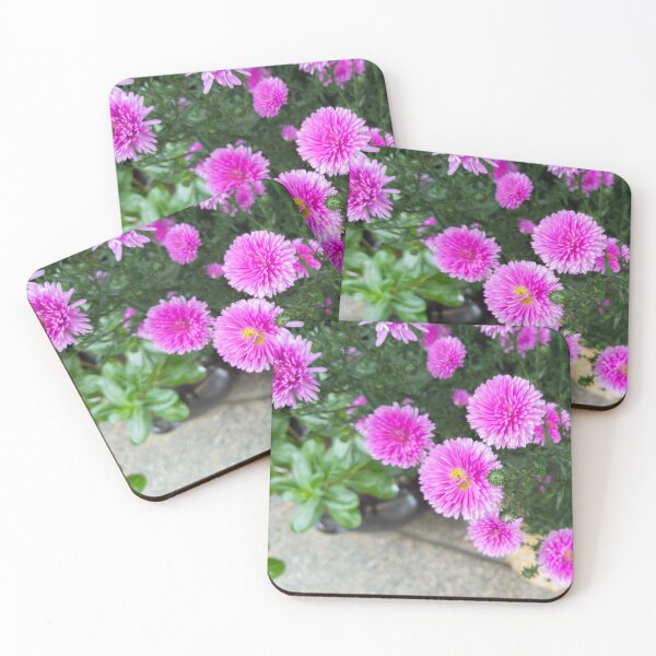 Item preview, pink daisy designed and sold by yunee.
