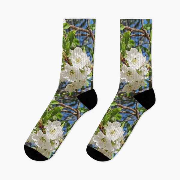 Item preview, White Cherry Blossoms Spring Florals - Nature Photography Art designed and sold by Flowing Colurs.