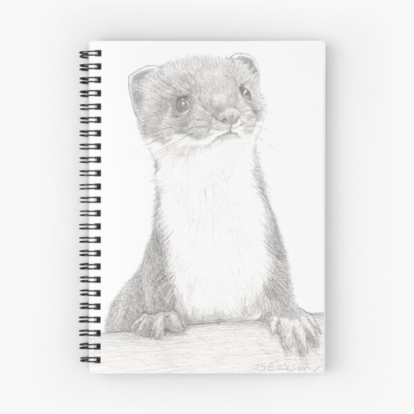 Item preview, Stewie the Stoat designed and sold by ISEriksonartist.
