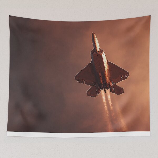 Item preview, Golden-Sky Interceptor designed and sold by Skyframe Aviation.