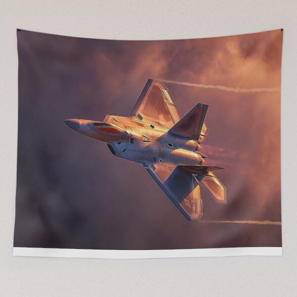 Item preview, F-22 Ember-Sky Flight designed and sold by Skyframe Aviation.