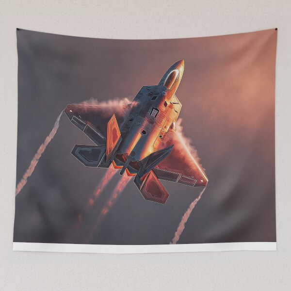 Item preview, F-22 Skyfire Ascension designed and sold by Skyframe Aviation.