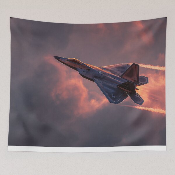 Item preview, F-22 First-Light Surge designed and sold by Skyframe Aviation.