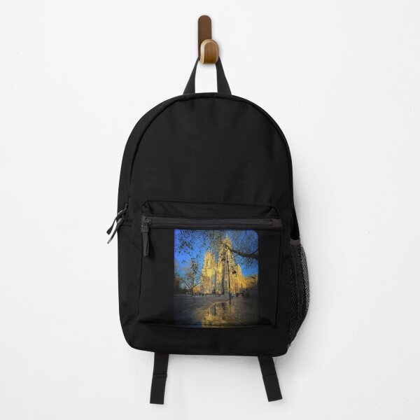 Item preview, York Minster designed and sold by Alisonchambers2.