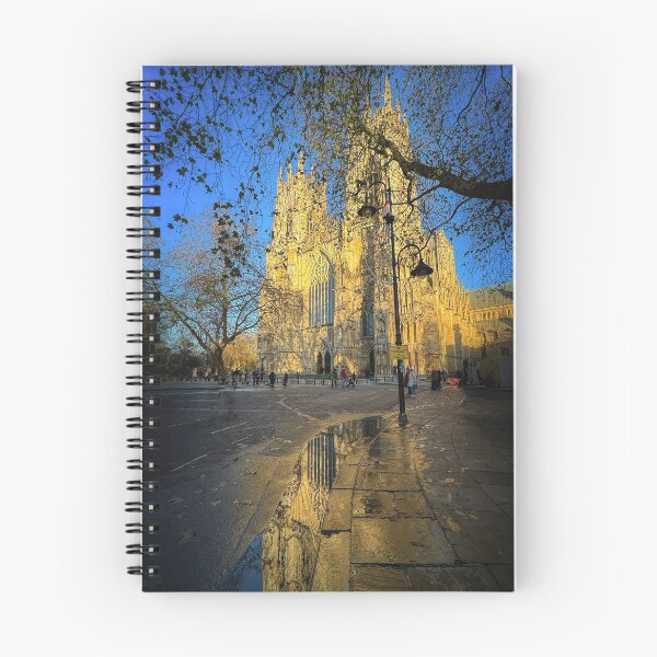 Item preview, York Minster designed and sold by Alisonchambers2.