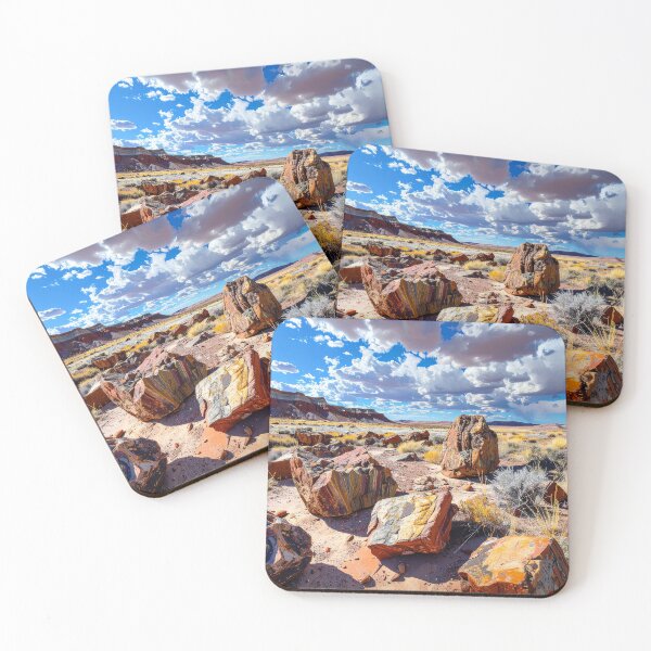 Item preview, Petrified Forest National Park designed and sold by BoKev.