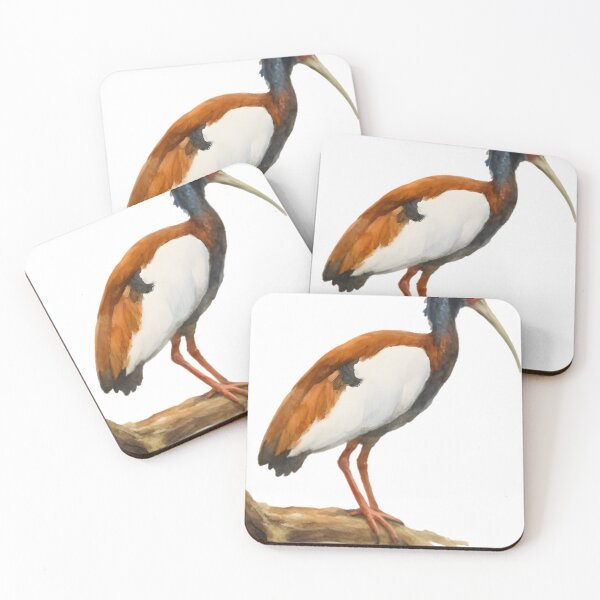 Item preview, Madagascar Crested Ibis (Lophotibis cristata) designed and sold by HOMETOWN86.