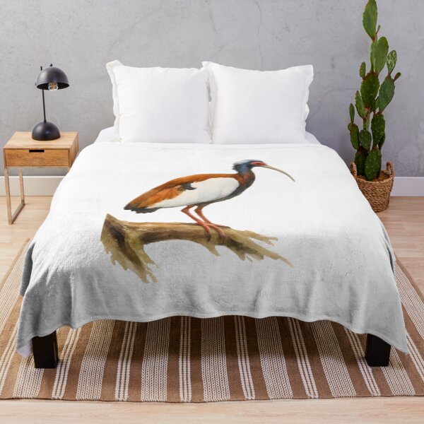 Item preview, Madagascar Crested Ibis (Lophotibis cristata) designed and sold by HOMETOWN86.