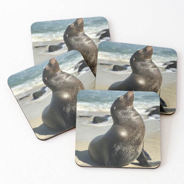 Item preview, Seal in the sun designed and sold by Mauswohn.