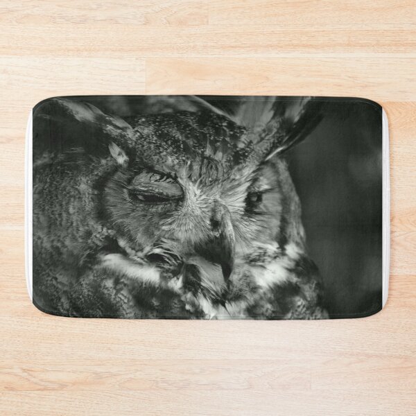 Item preview, Close-Up of a Sleepy Owl designed and sold by MercerImages.