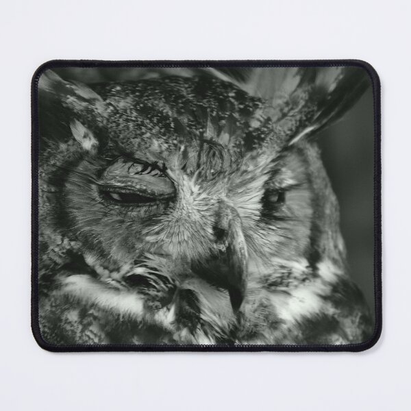 Item preview, Close-Up of a Sleepy Owl designed and sold by MercerImages.