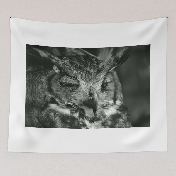 Item preview, Close-Up of a Sleepy Owl designed and sold by MercerImages.
