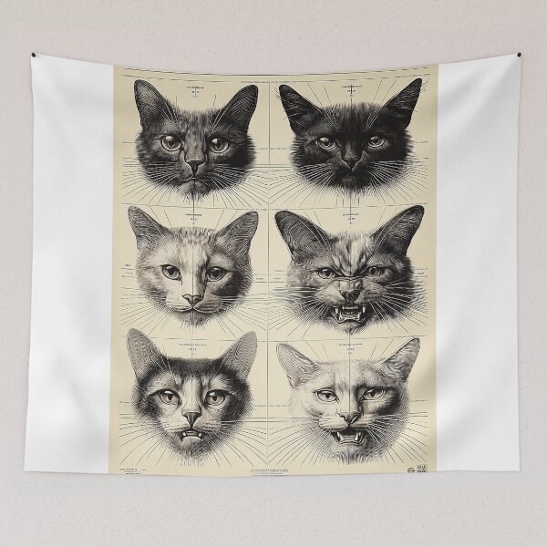 Item preview, Six Cat Faces in Detailed Study designed and sold by lautir.