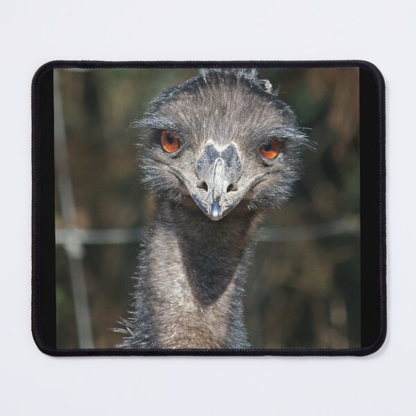 Item preview, Emu Looking at You designed and sold by 14observations.