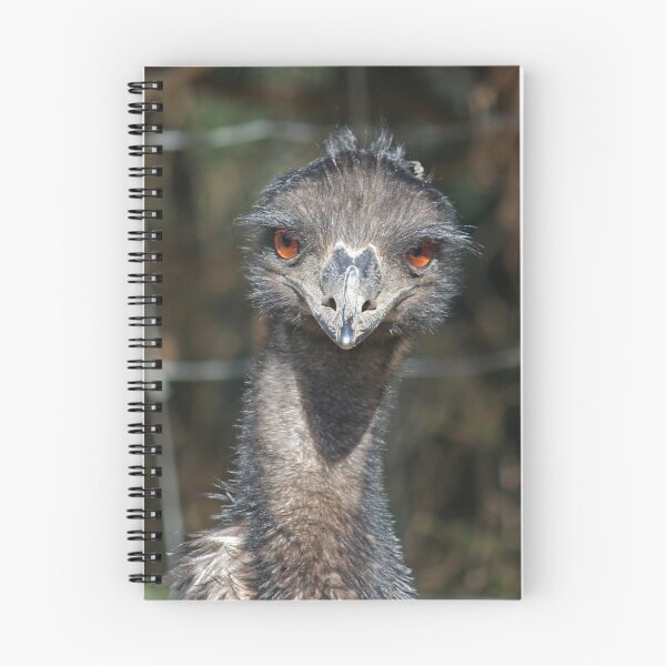 Item preview, Emu Looking at You designed and sold by 14observations.